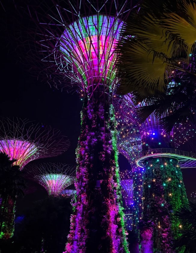 International shopping cart